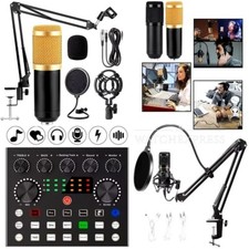 Kit MICROFONO Condensatore Professionale  Autne Compatibile PC Smartphone Tablet