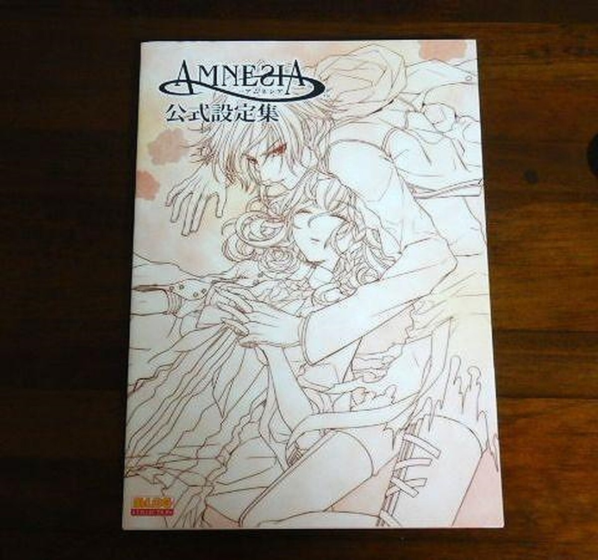 art book amnesia AMNESIA Art Works 2013 B's-LOG COLLECTION | eBay