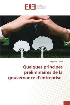 Quelques principes préliminaires de la gouvernance d'entreprise | Baghdad Chaib