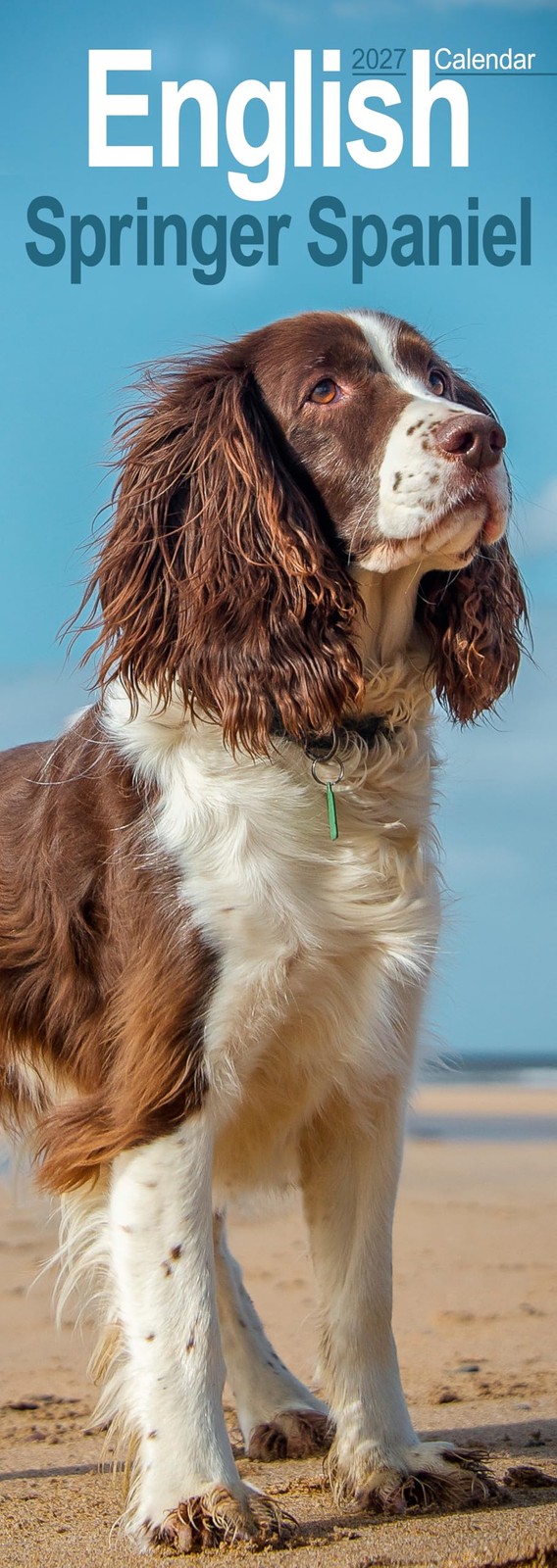 English Springer Spaniel Slim by AVONSIDE PUBLISHING (Calendar) - Image 3