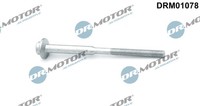 Dr.Motor Automotive DRM01078 Schraube, EinspritzdüSenhalter For Audi Seat Skoda