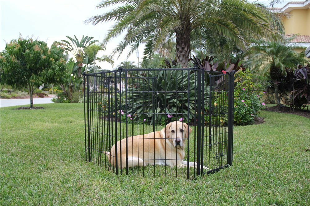 carlson pet weatherproof outdoor super pet gate