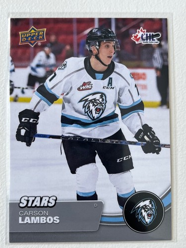 2021-22 UD CHL Base Stars / Star Rookies #301 to #449 Pick From List !! - Picture 10 of 134