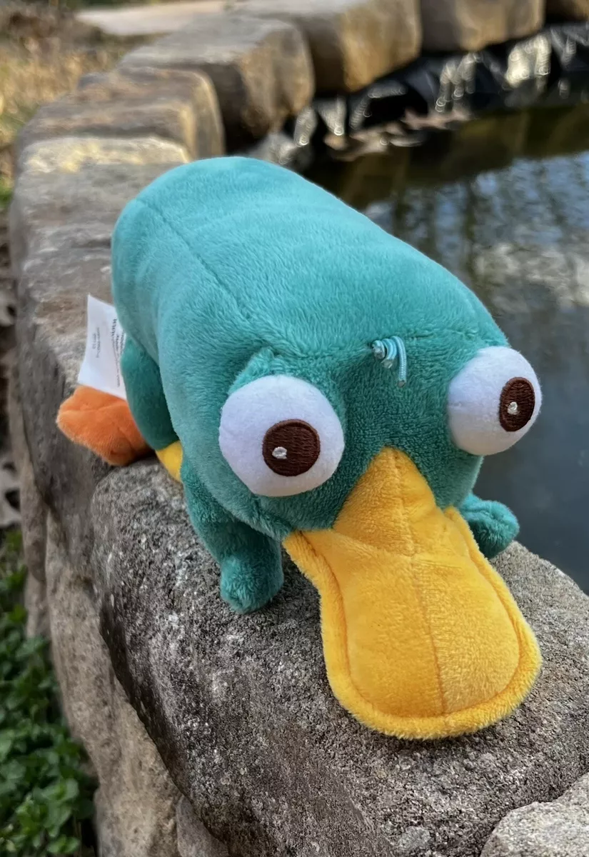 Perry cheap platypus plush