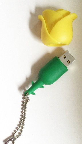 MACHINE EMBROIDERY STORAGE USB 2.0 NOVELTY FLASH DRIVE 16GB MEMORY STICK DESIGNS - Afbeelding 30 van 78