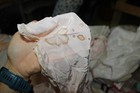 Picture 6 of 8