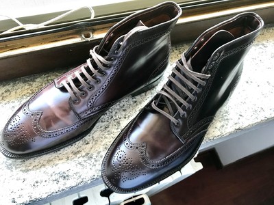 Alden Wing Tip
