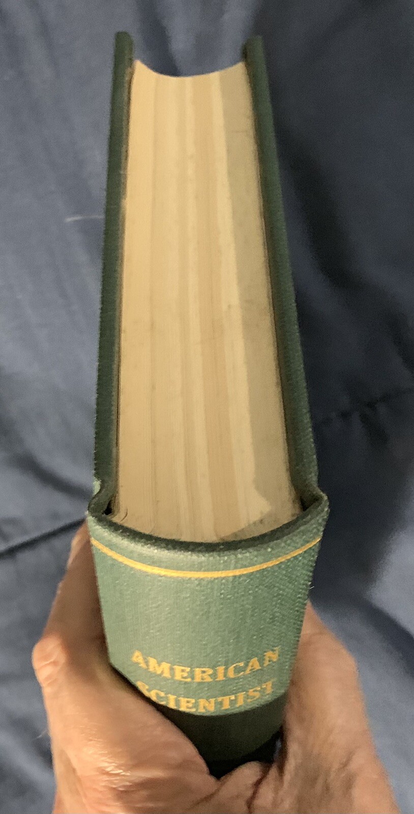 Picture 4 of 9