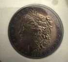 1890 Morgan Silver Dollar *Monster Toning*