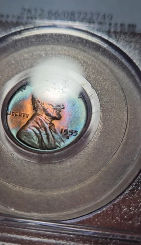 1955 S TONED Lincoln Wheat Cent PCGS MS 66 RB Toning SEE VIDEO 1C