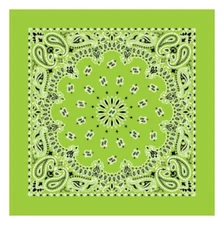Neon Paisley 22x22 Bandannas, Made in USA, Hav-A-Hank