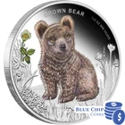 2013 Forest Babies BROWN BEAR 1/2oz Silver Proof Coin