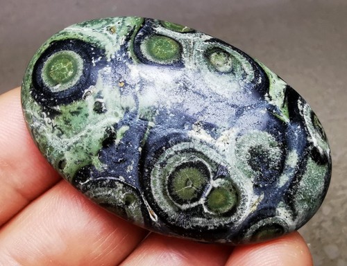 36g EYE GREEN KAMBABA JASPER STROMATOLITE Palm Reiki Stone Healing