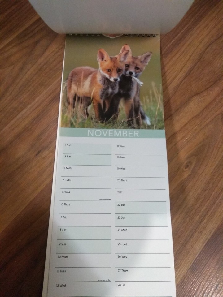 Cutest Baby Animals Slimline 2025 Calendar. Beautiful Photography Of