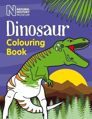 Dinosaur Colouring Book (Tascabile)