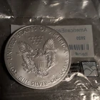 2020 SILVER EAGLE! MUST SEE! GORGEOUS! FANTASTIC! AMAZING! INSANE! NR #P1729
