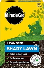 Shady Lawn Grass Seed 420g | Fast-Growing, Hardwearing Grass for Low Light
