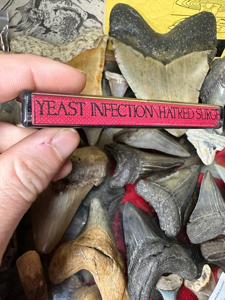 1994 YEAST INFECTION LIVE! IN A BASEMENT DEMO DEATH METAL DISMEMBERED FETUS - Image 4 of 4