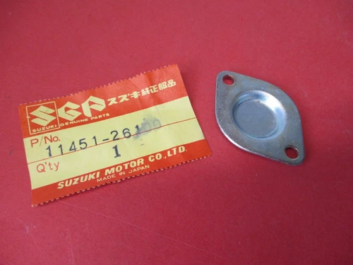 CAP, GEAR SHIFT CAM PIVOT