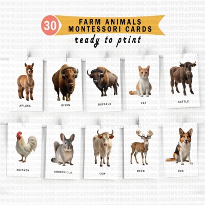 Printable Farm Animals Flash Cards-Montessori-Inspired 30 Card Set for Preschool