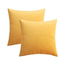 RELY Pack of 2 Throw Pillow Covers 16x16 Inch Velvet Soft Cozy Solid Decorat...