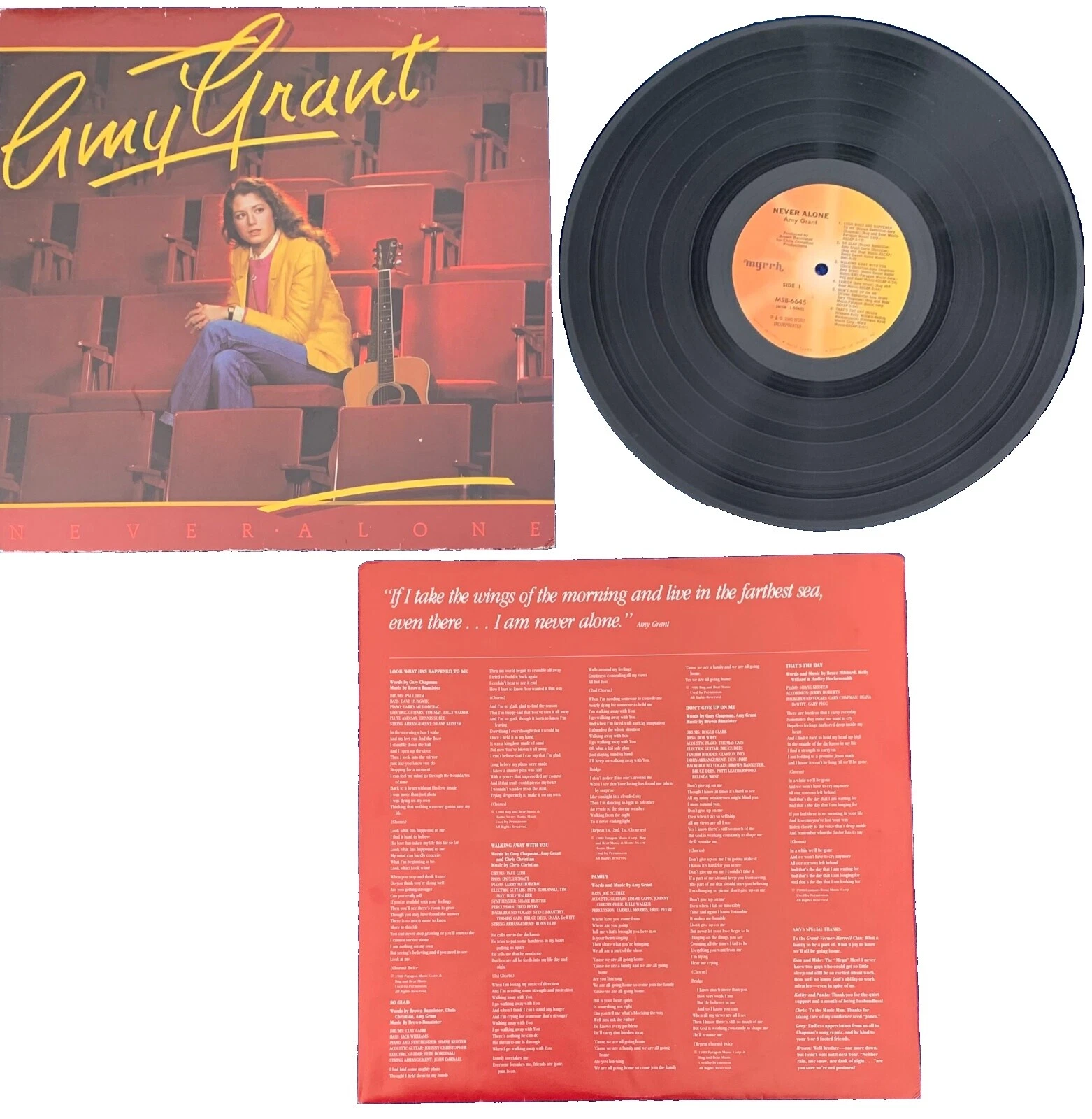 Amy Grant Excellent (EX) Sleeve Vinyl Records
