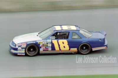1993 Chad Mader Busch Daytona  - 4x6 photo - Free Shipping
