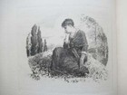 Foto 15 di 16