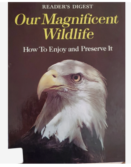 Our Magnificent Wildlife by Reader's Digest (Hardback, 1975)