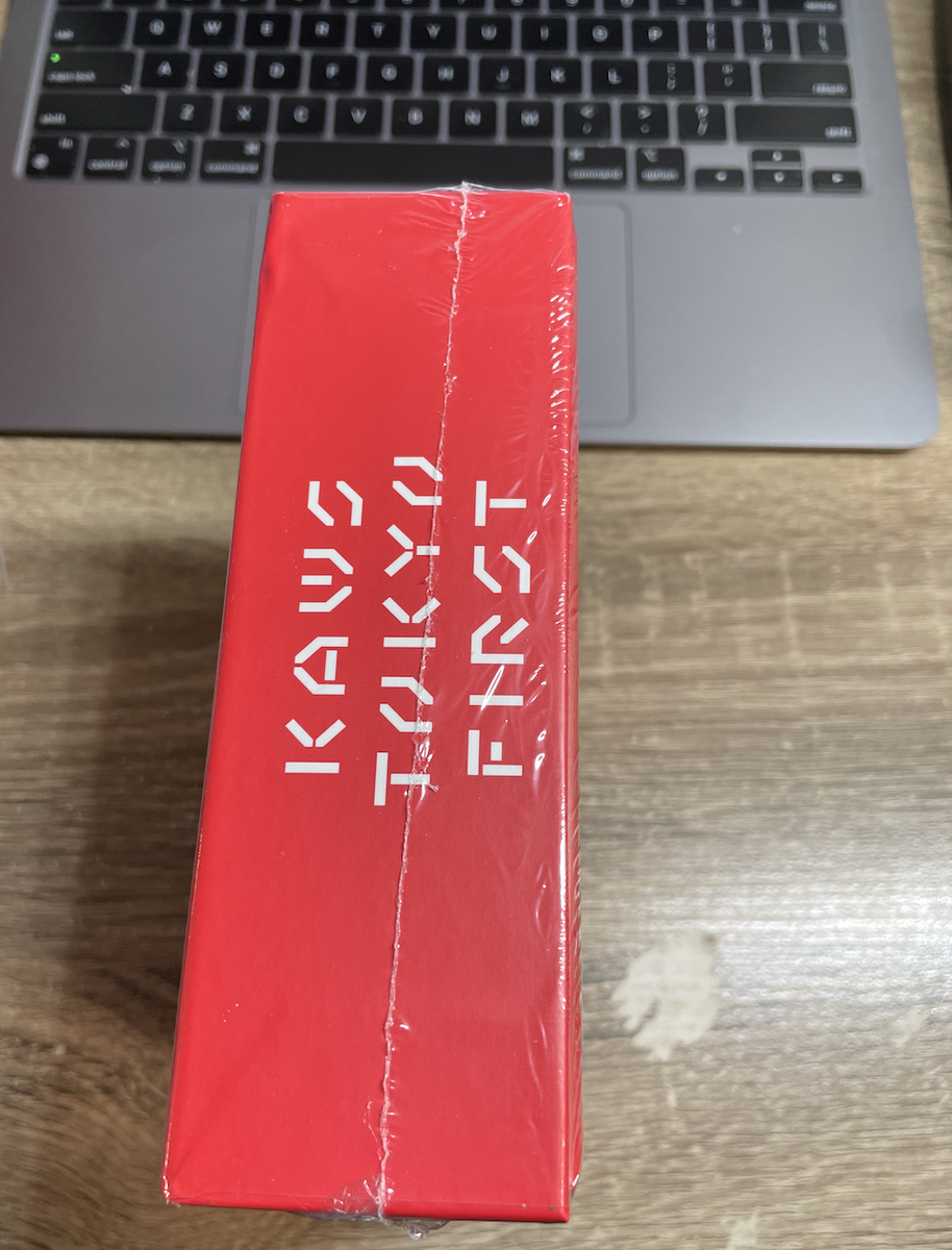 KAWS Tokyo First Gone Puzzle- Sealed 100 Pieces SHIPS IMMEDIATELY