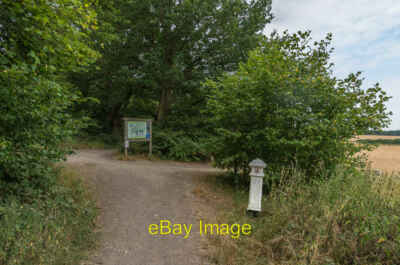 Foto 6x4 Trenseweg, Ashtead Common Malden Rushett 3 c2018