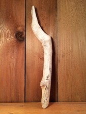 Beautiful 16" DRIFTWOOD Piece Art Terrarium Taxidermy Aquarium Beach Wood DECOR