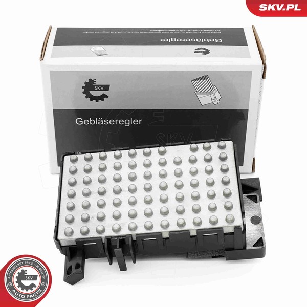 Esen Skv Regler InnenraumgebläSe 94SKV134 12V FüR Mercedes Klasse W221 V221 250-image