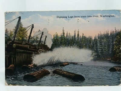 Baumstämme vom Zug in den Fluss Washington DC USA antike Postkarte 1916