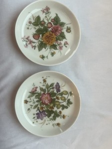 Eversberg West Germany, set of 2 decorative plates.