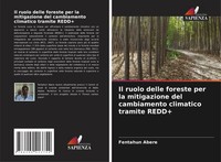 Fentahun Abere | Il Ruolo Delle Foreste Per La Mitigazione Del Cambiamento...