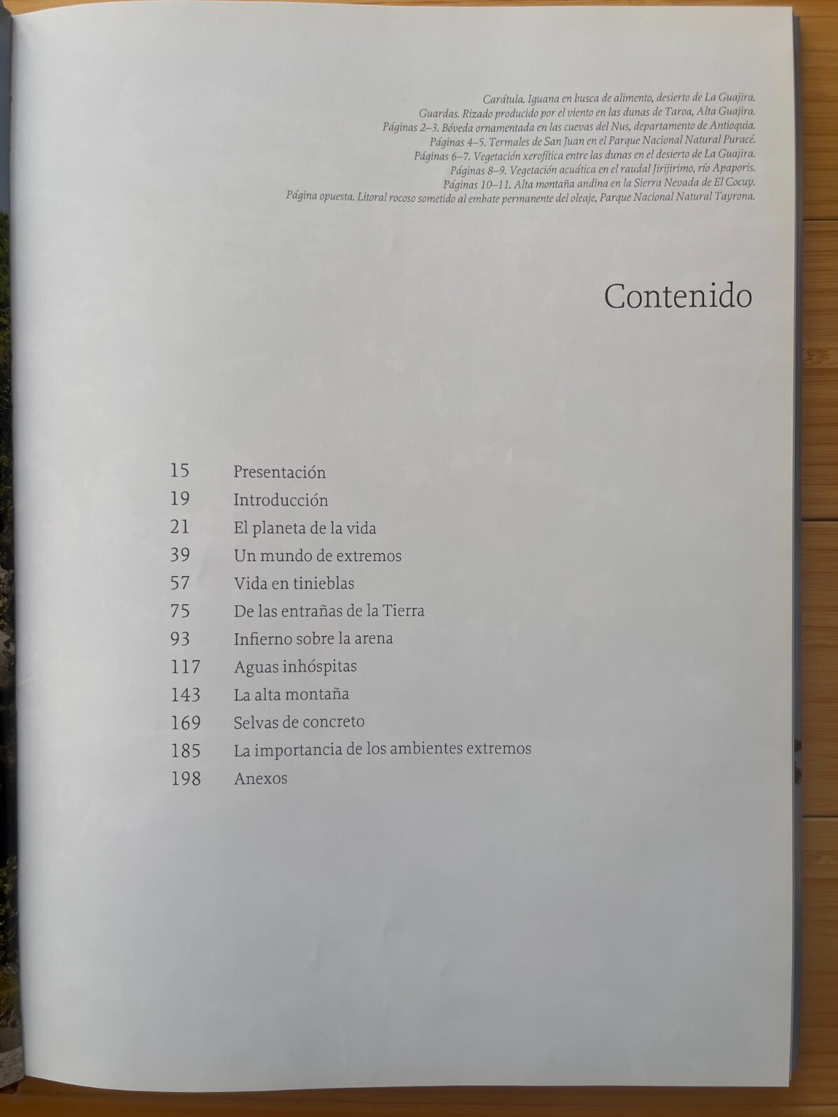 Imagen 4 de 16
