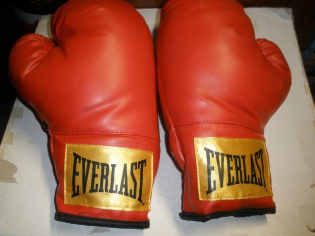 everlast boxing gloves price