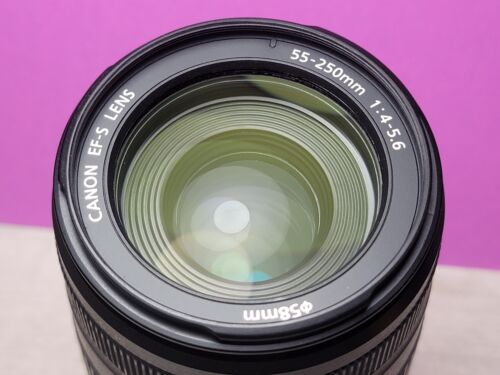 ,, Lente Canon EF EFs 50 mm 18-55 mm 28-90 mm 35-80 mm 28-200 m 75-300 mm convertidor - Imagen 87 de 127