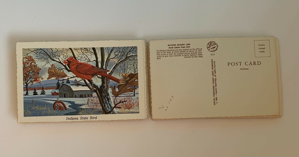 アメリカ合衆国の切手　state birds and flower THE FIFTY STATE BIRDS AND FLOWERS MINT SET - U.S. STAMPS