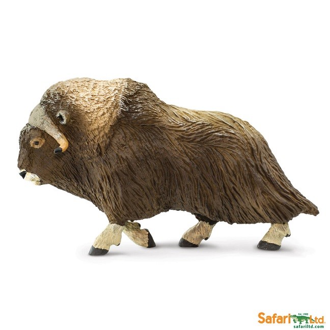 Safari Ltd 100095 Musk Ox 12 Cm Series Wildlife