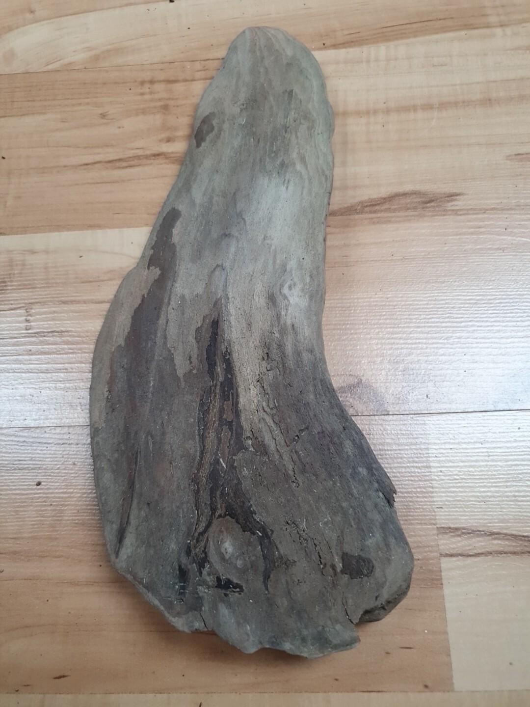 Bild 1 von 4
