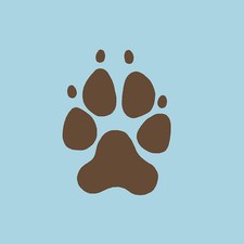 Dog Paw Prints Stencil- Reusable Stencils for Walls - DIY Home Decor