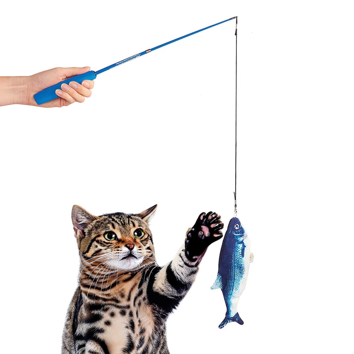 Fishing Pole Cat Toy Kong Fishing Pole Teaser Cat Toy Kohepets