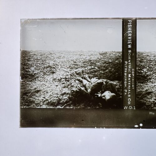 FISHERVIEW Glass WWI STEREOGRAPH Card Stereoview PLATE - Photograph Slide W-D-1 - Picture 3 of 6