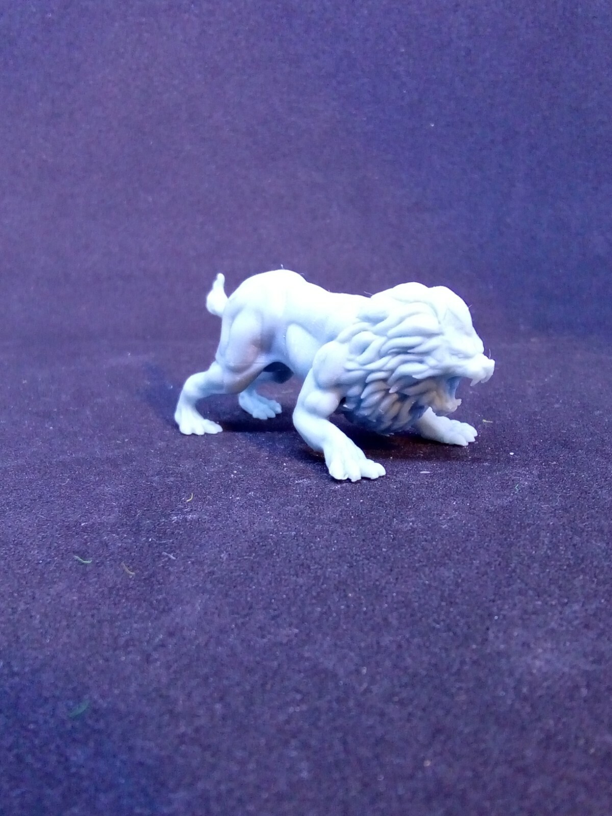 Picture 4 of 4