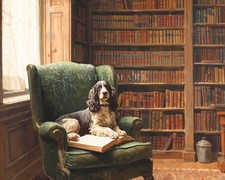 Cocker Spaniel Dog Portrait Oil Painting Print Vintage Library Pet Wall Art