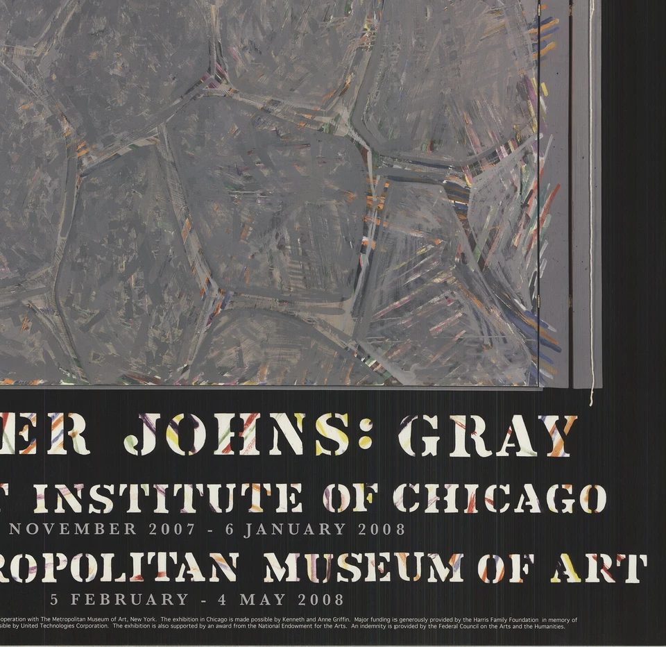 JASPER JOHNS Within 42.5" x 29" Poster 2007 Pop Art Blue, Gray - Image 4 of 4