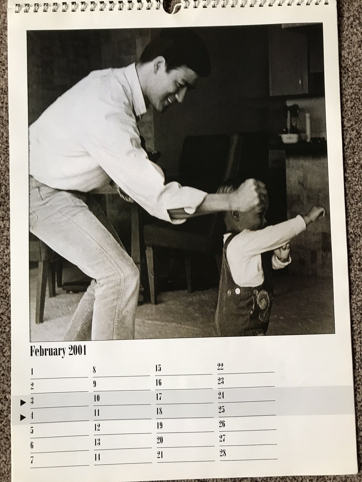 Picture 4 of 12