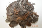 RAW Alpaca Wool Fiber Fleece 1st Thunder Grays and Browns